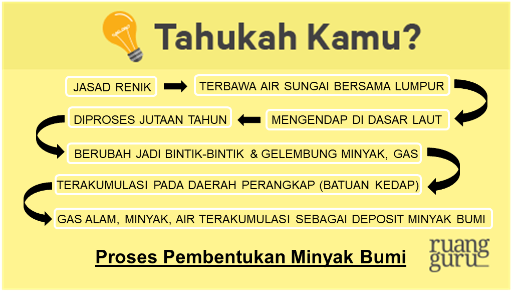 Tahap-Tahap Proses Pembentukan Minyak Bumi | Kimia Kelas 11